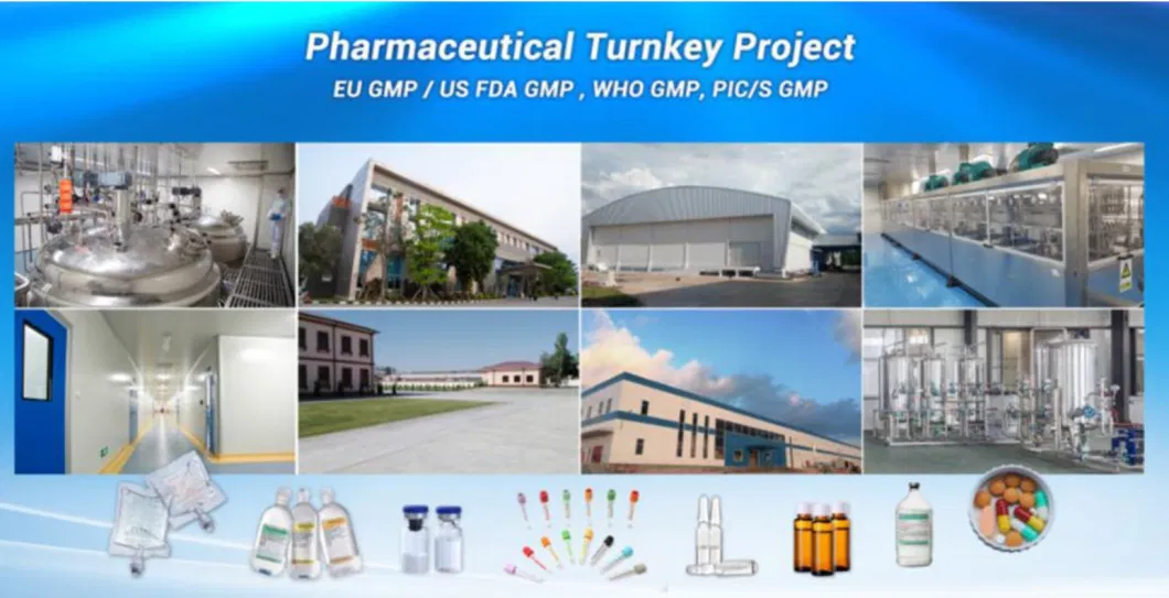 Portable Hospital GMP Turnkey Project Pharmaceutical PVC Soft Bag Making Filling and Sealing Assembly Machine